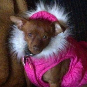 Meet your Posher, Debra